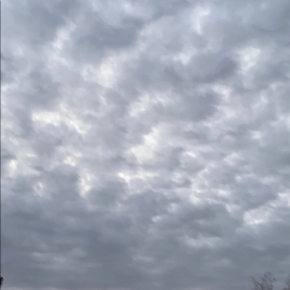 Meet your Posher, Mya - Picture 1 of 1